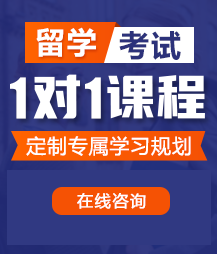 黄黄的色色的大鸡巴视频留学考试一对一精品课